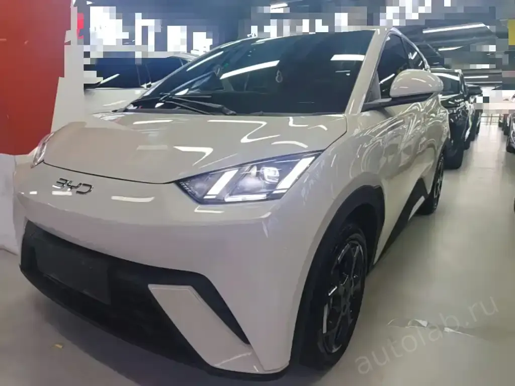 BYD Seagull