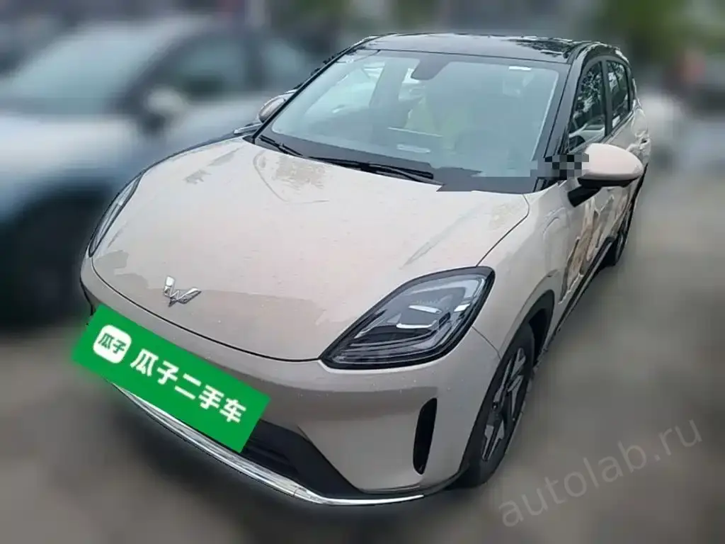 Wuling 缤果S