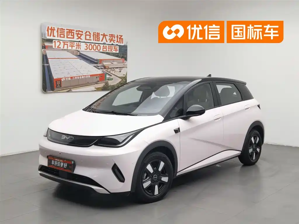 BYD Dolphin