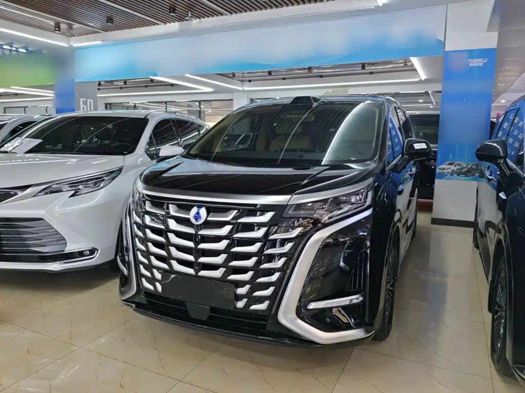 Denza Denza D9