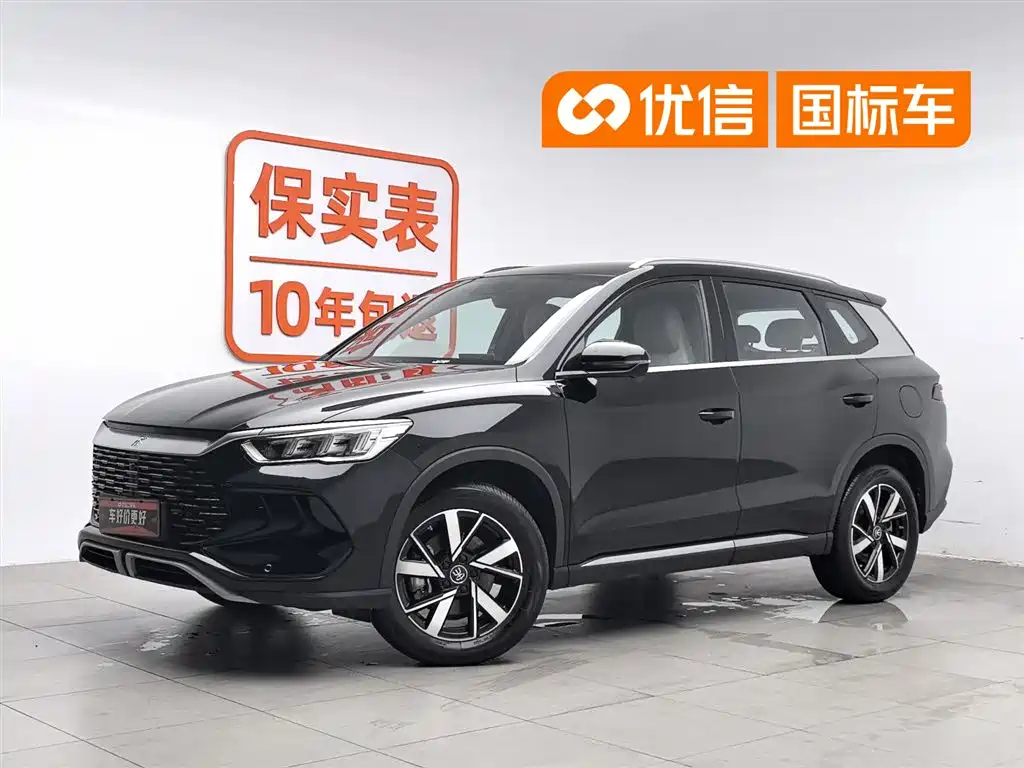BYD Pro New Energy