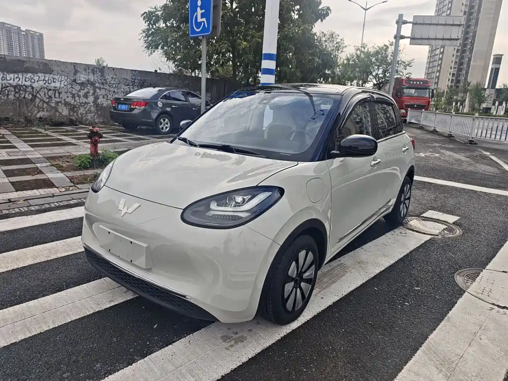 Wuling Bingo
