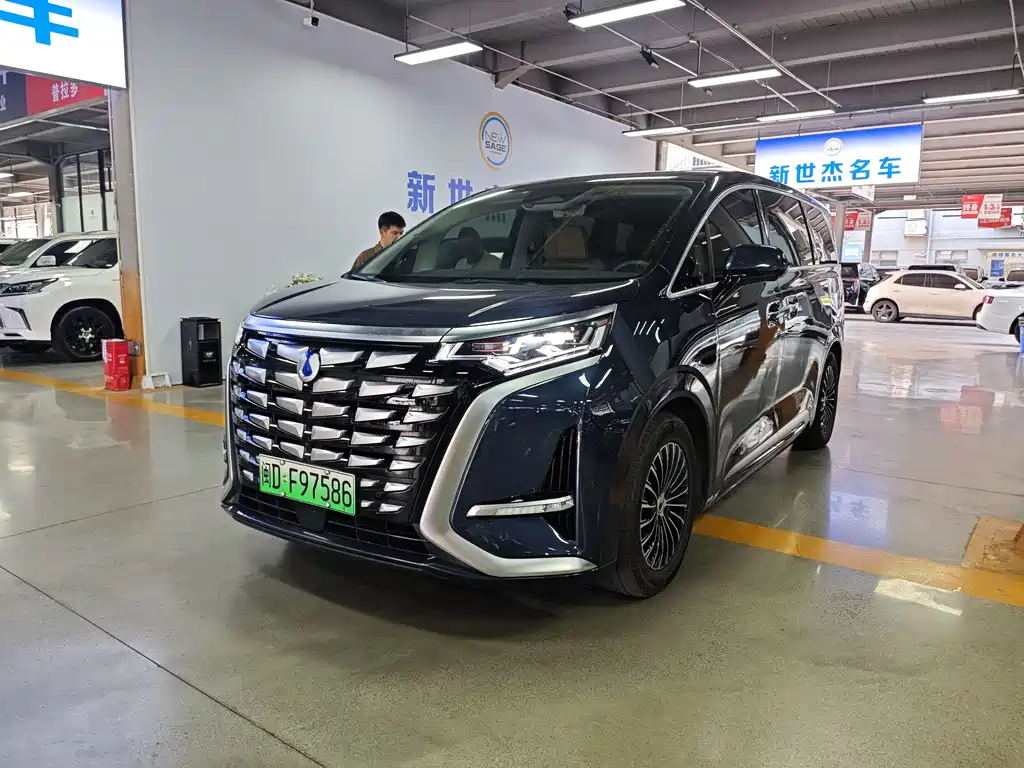 Denza Denza D9