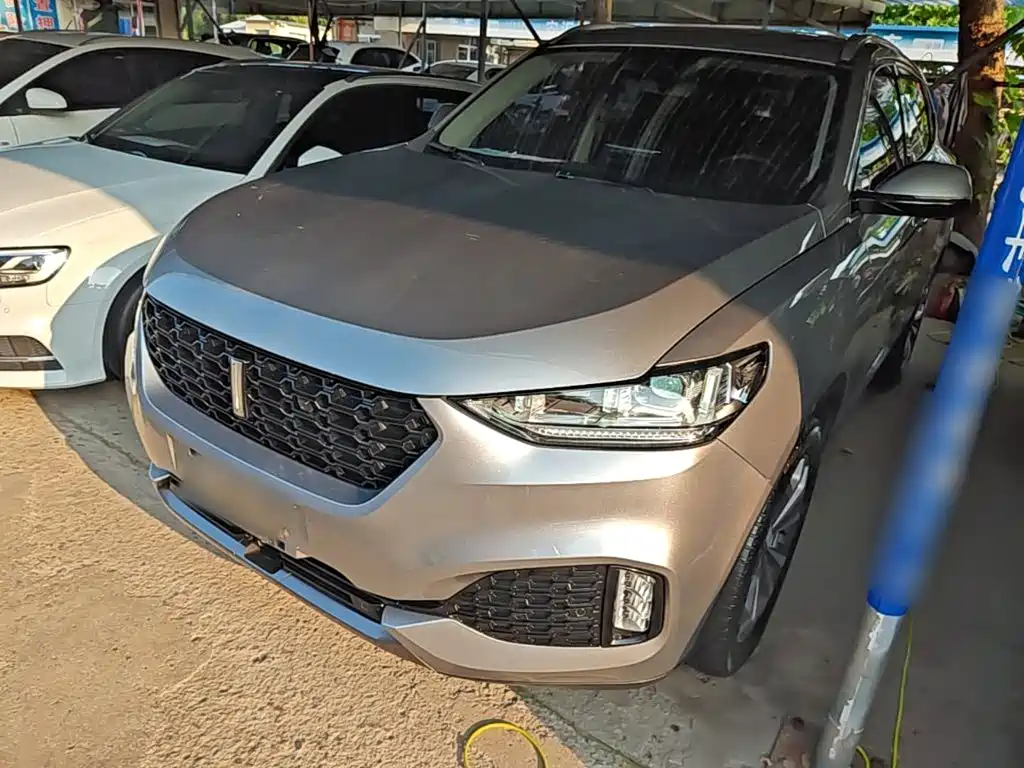 Wey Wey VV6