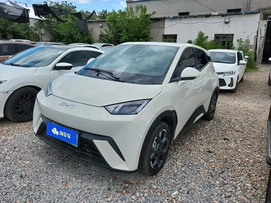 BYD Seagull