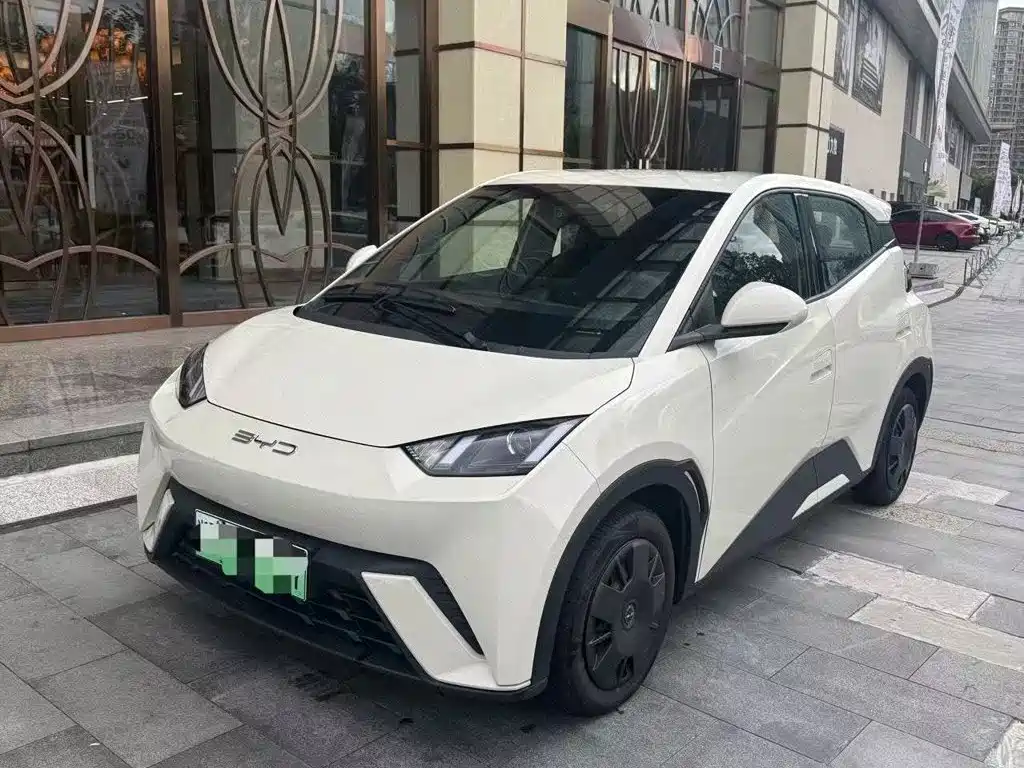 BYD Seagull