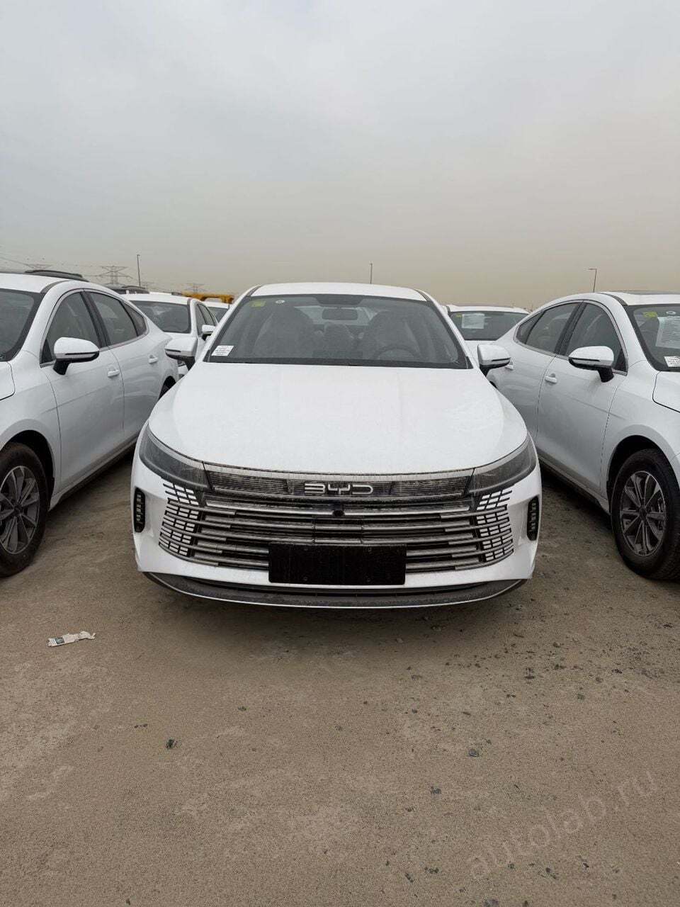 BYD Destroyer 05